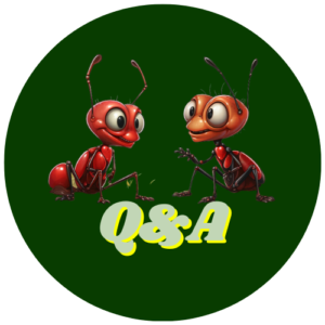 Ants Q&A